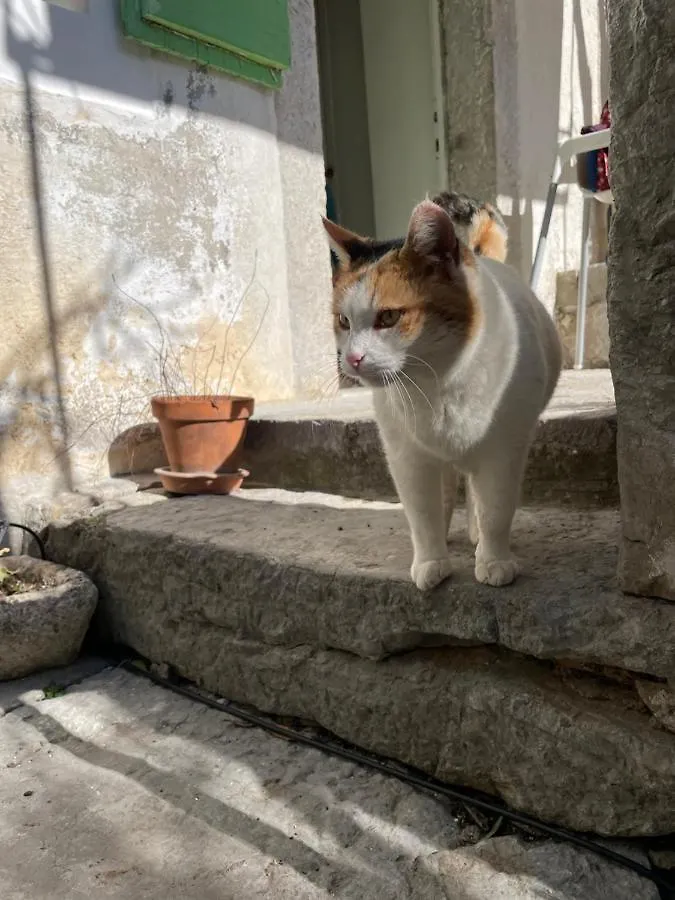 بيت للعطل فيلا Maja Stone House Kornić